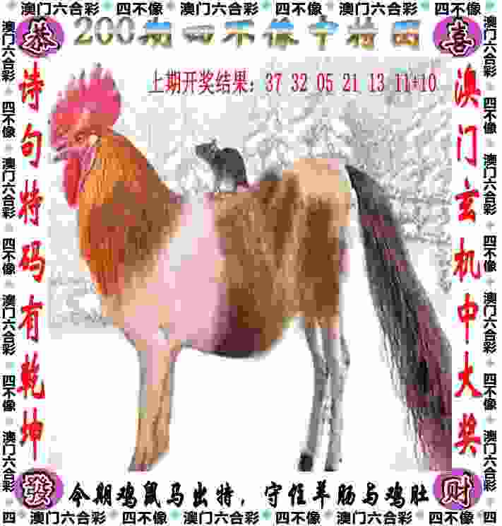 >2025年澳门历史记录