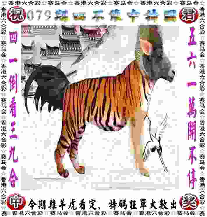 残疾人田径世锦赛：中国队再夺三金继续领跑